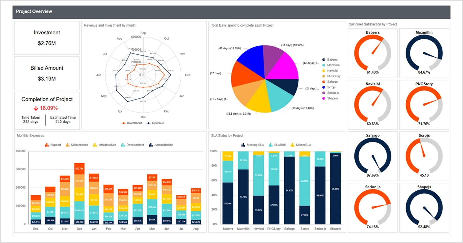 Project overview report