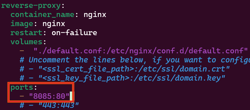 App base url in a reverse proxy block