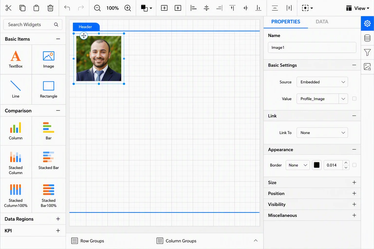 Embedded image displayed in image report item