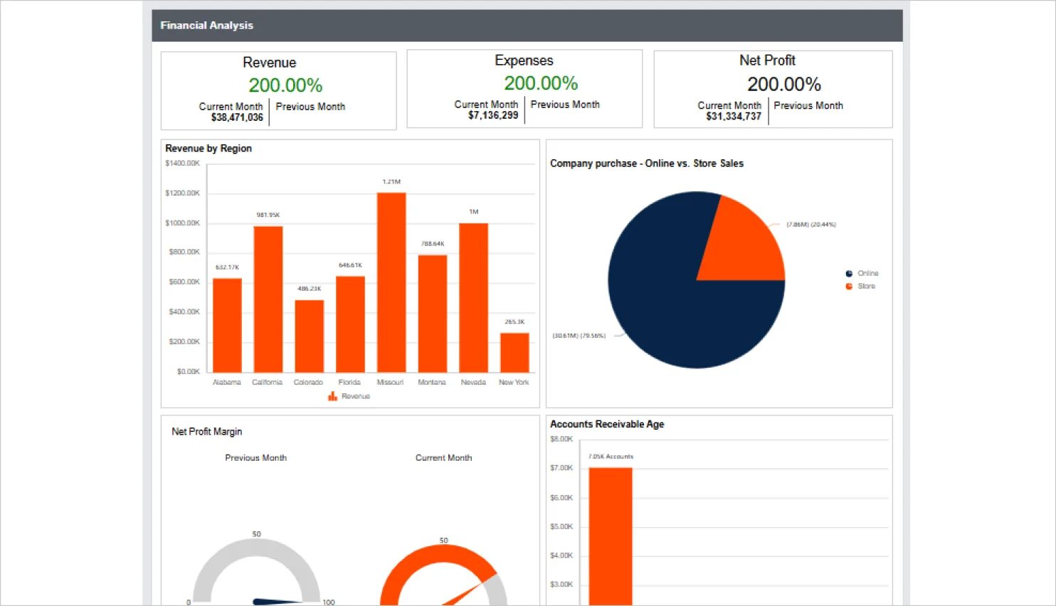 Financial Report Analysis