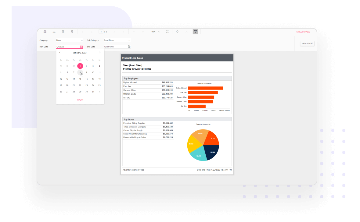 Report Viewer for SSRS Reports - User-friendly interface.