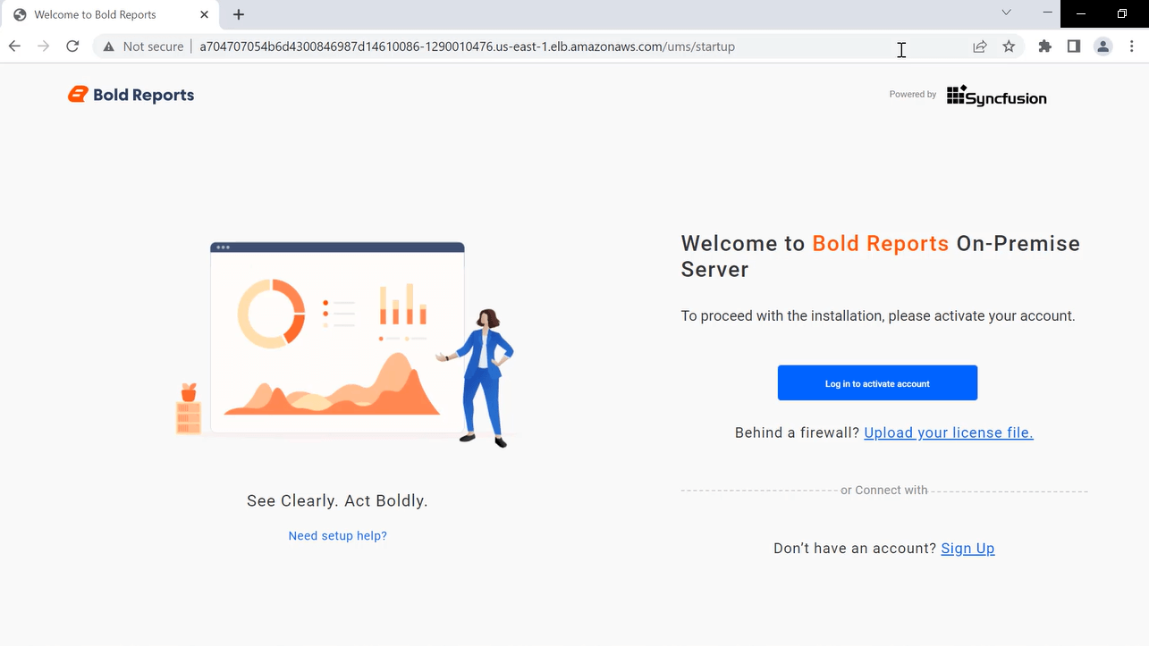 Application startup page