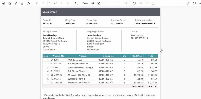 Report Server | Reporting Tool
