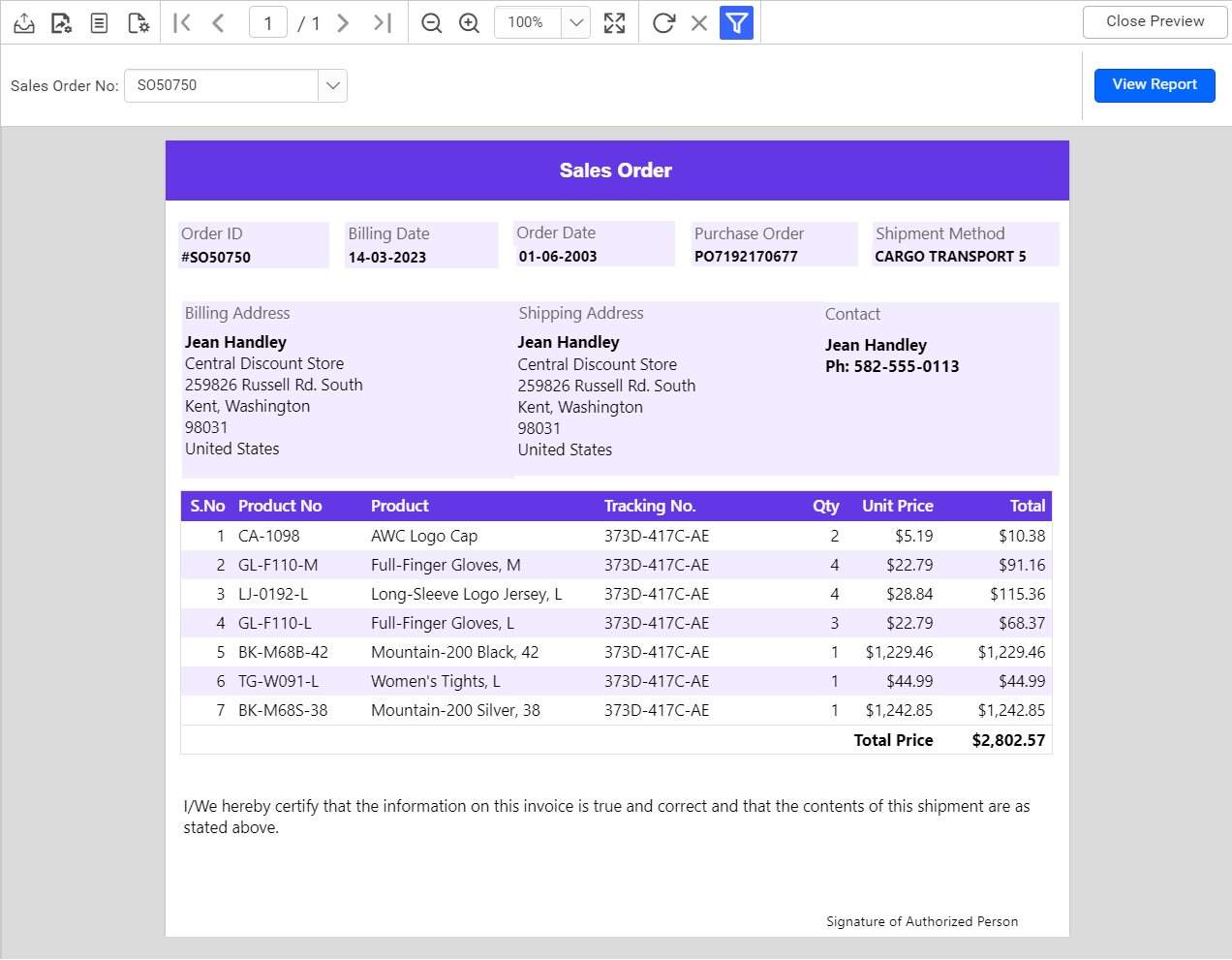 Report page with styles and colors. | Professional Reports