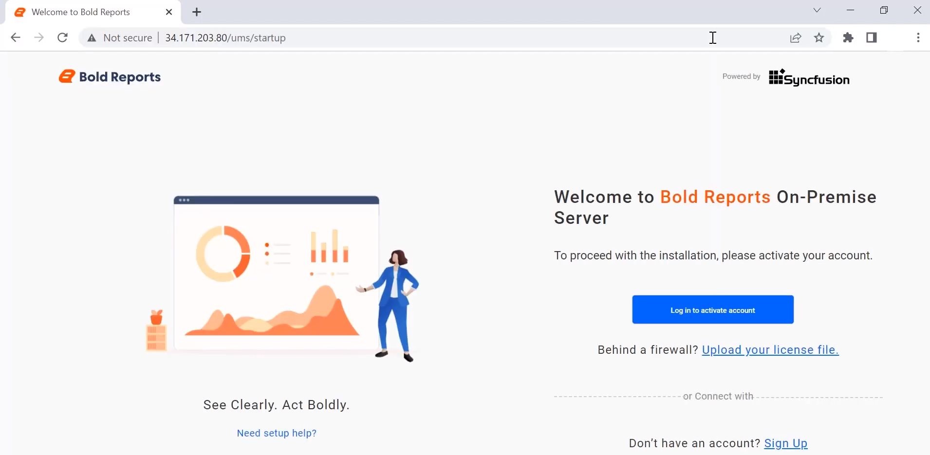 Application startup page