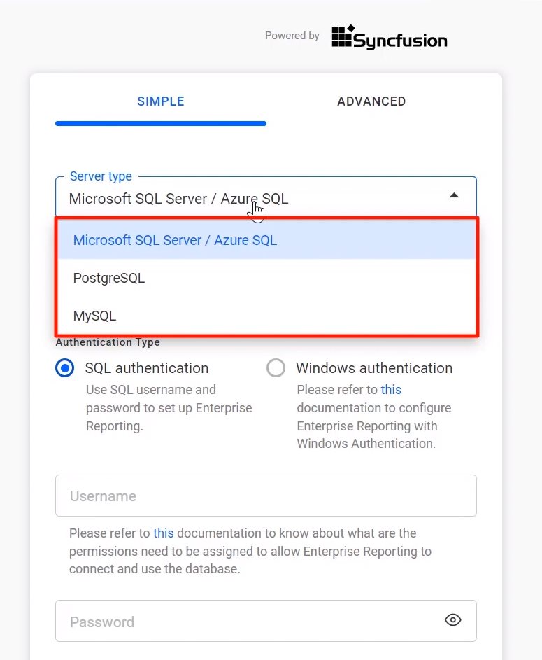 Existing databases for storing Report server