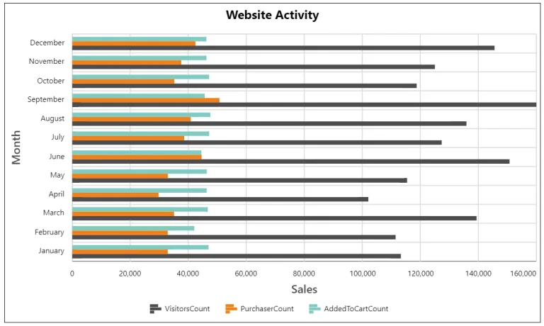 A bar chart showing the website activity for each month.