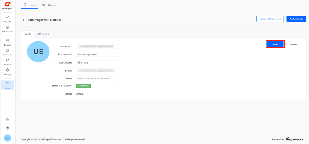 Editing User | Reporting Tools