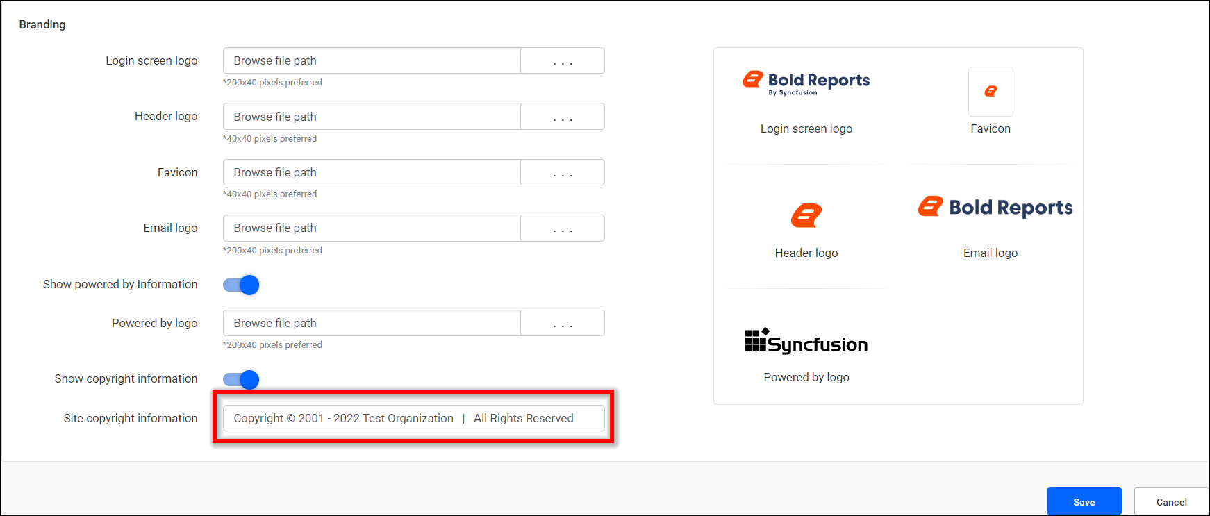 Copyright information setting page for e-mails | Report Tools Software 