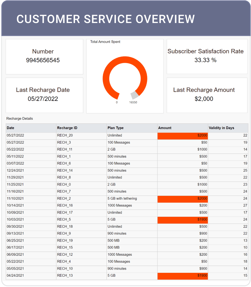 Customer service overview