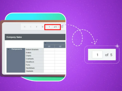 how-to-create-and-use-paginated-reports