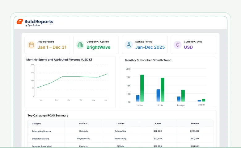 Ads campaign performance report template